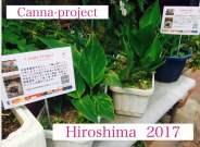 公式カンナ子ども夢プラン里親カンナ - 133 - 2017 - Hiroshima