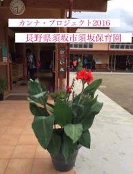 Before 2017 - 10 - 2016 - 長野県須坂市須坂保育園