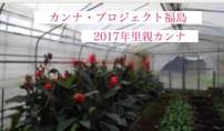 公式カンナ子ども夢プラン里親カンナ - 150 - 2017 - 福島ビニールハウス
