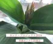公式カンナ子ども夢プラン里親カンナ - 193 - 2018-07-25 - 東京
