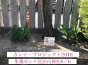 公式カンナ子ども夢プラン里親カンナ - 206 - 2018-08-06 - 比治山神社