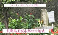 公式カンナ子ども夢プラン里親カンナ - 246 - 2018 - 長野県須坂市梨の木地域